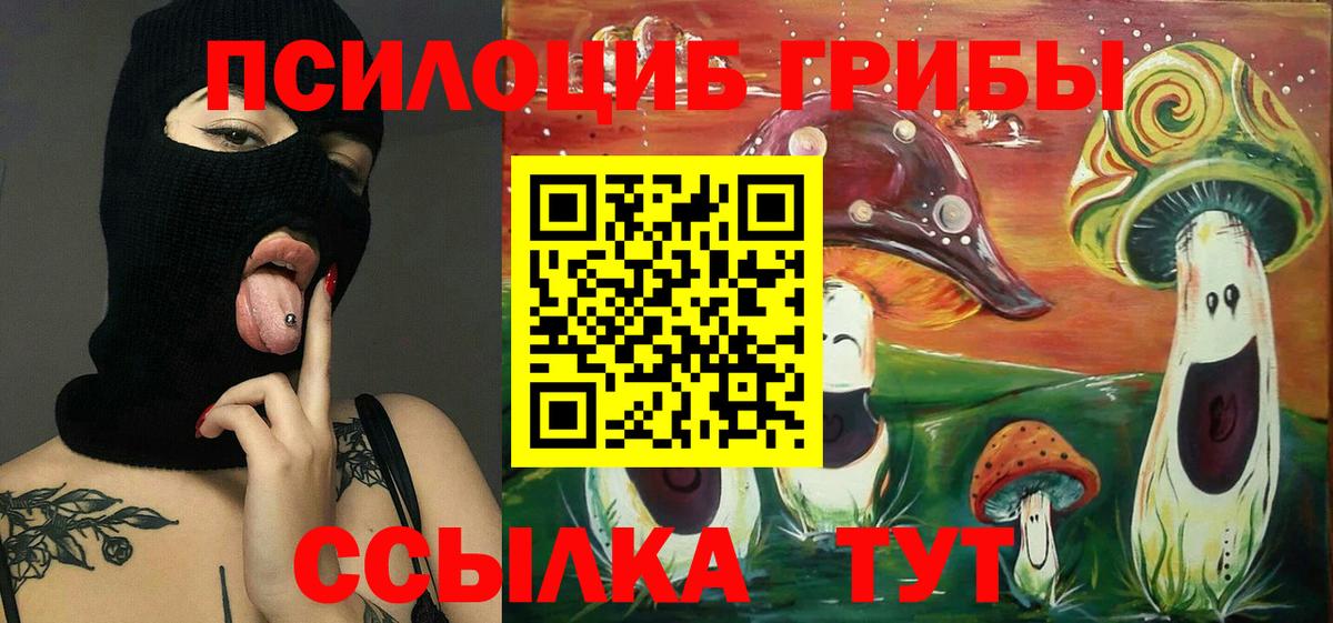 Псилоцибиновые грибы мицелий Дюртюли